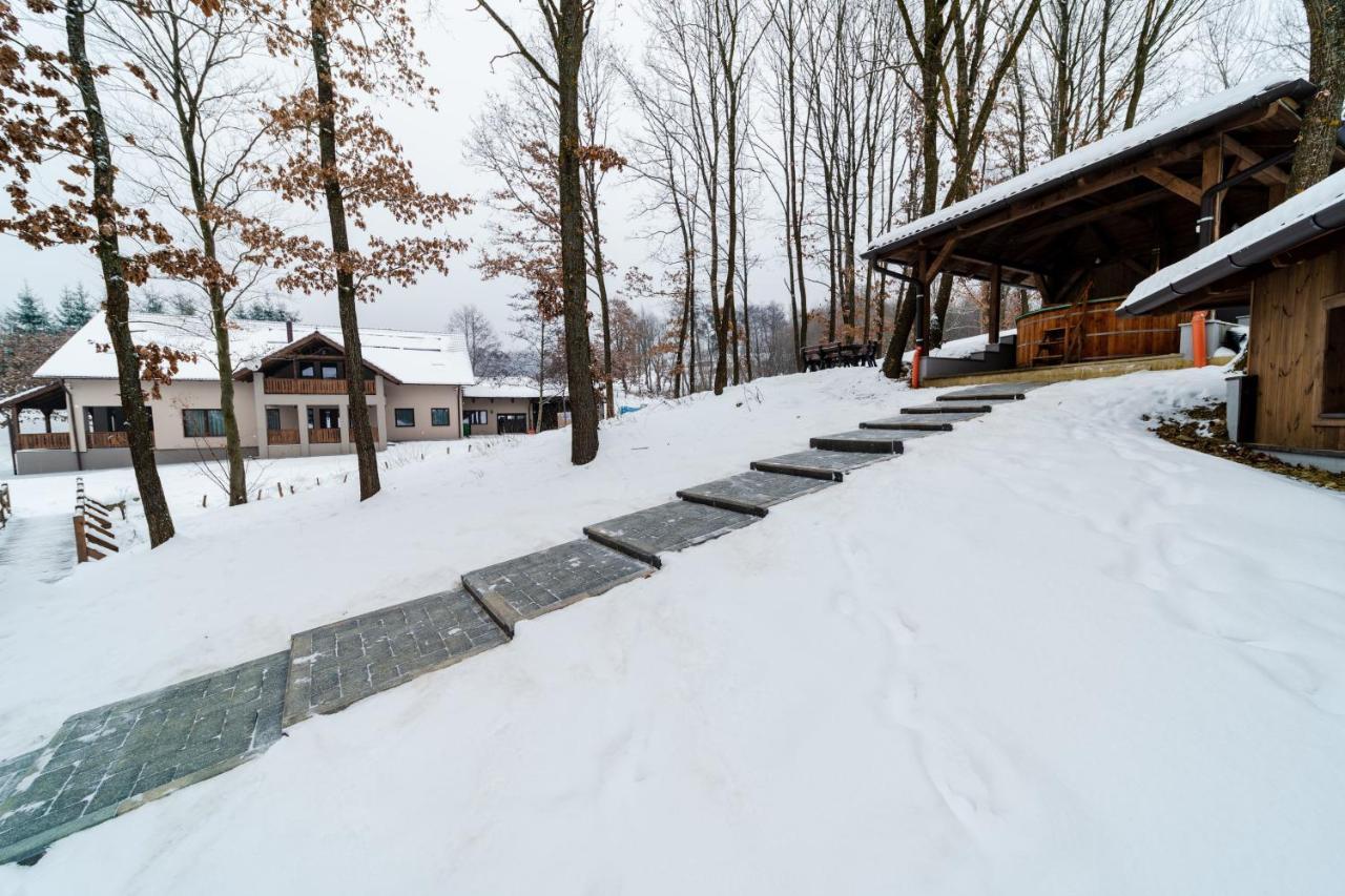 Transylvanian Relax House Lupeni  エクステリア 写真