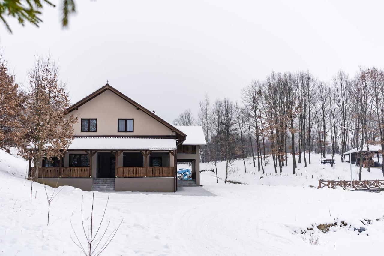 Transylvanian Relax House Lupeni  エクステリア 写真