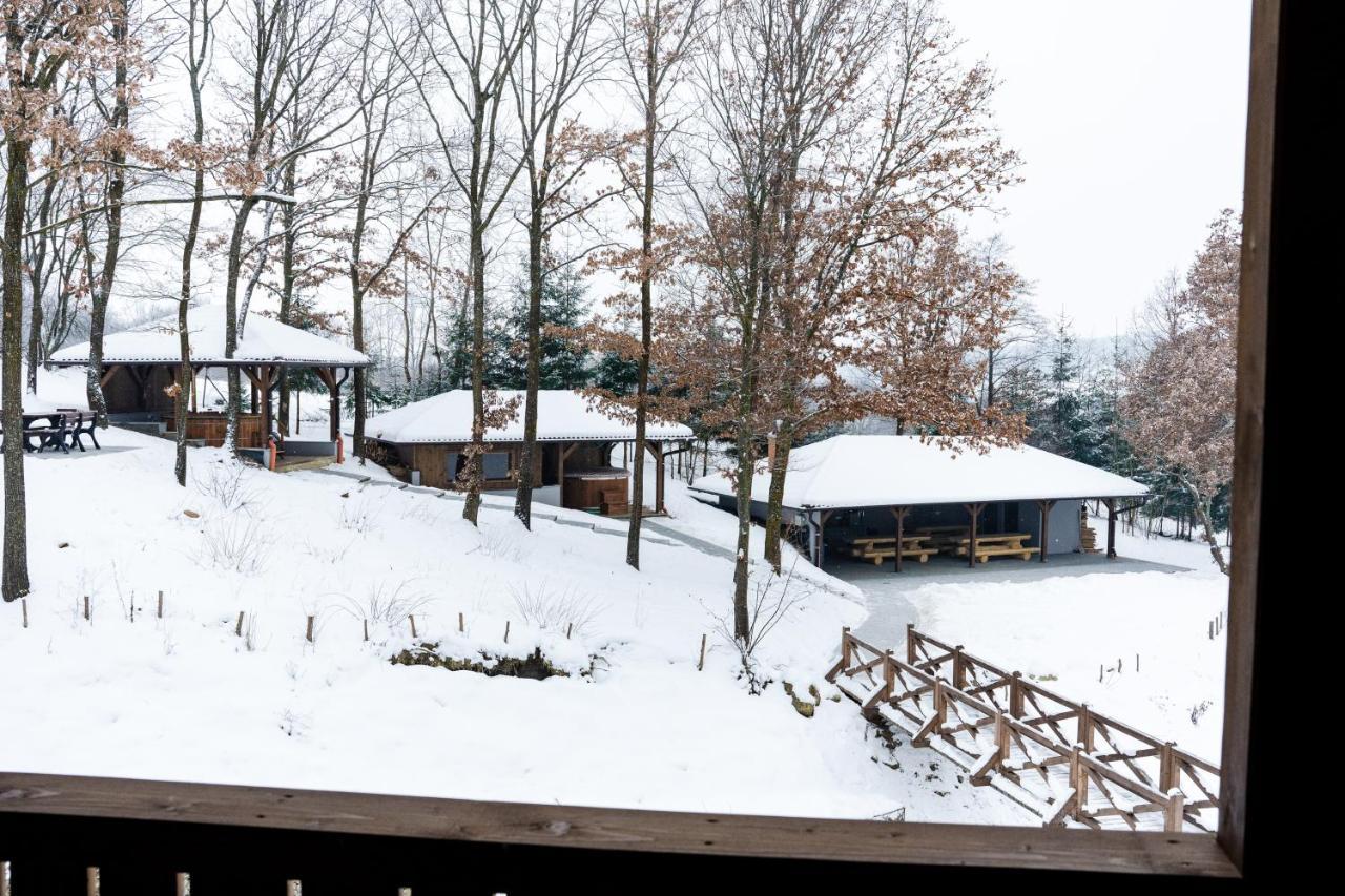 Transylvanian Relax House Lupeni  エクステリア 写真